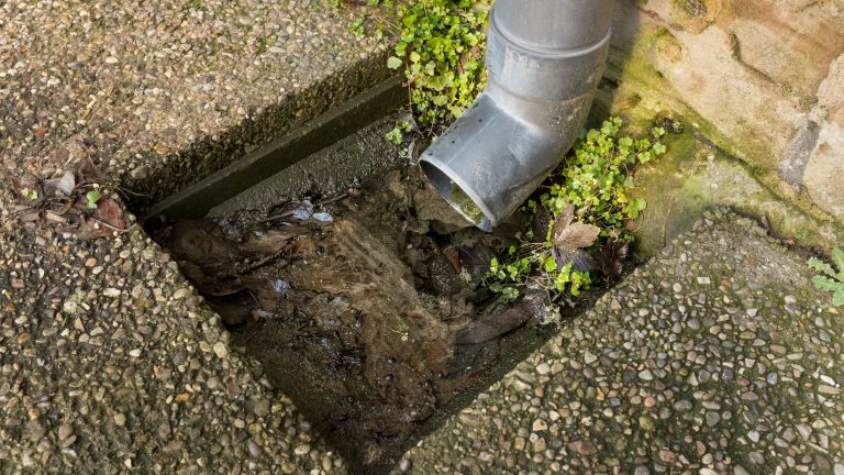 Blocked outdoor drain with leaves and debris restricting water flow near a downpipe