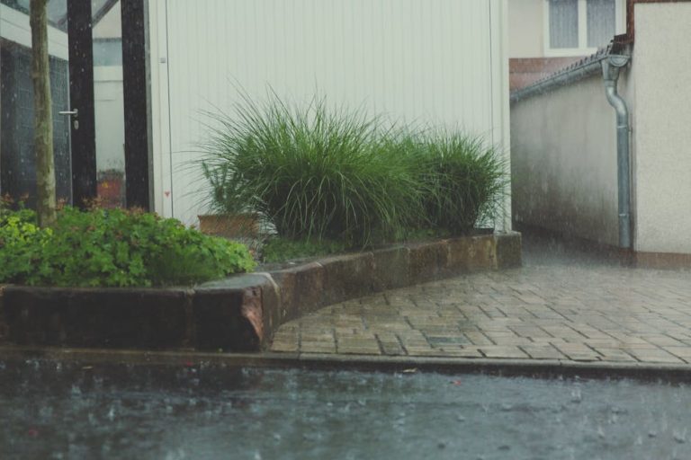 A rainy day in a residential courtyard with lush greenery and stone pavement.